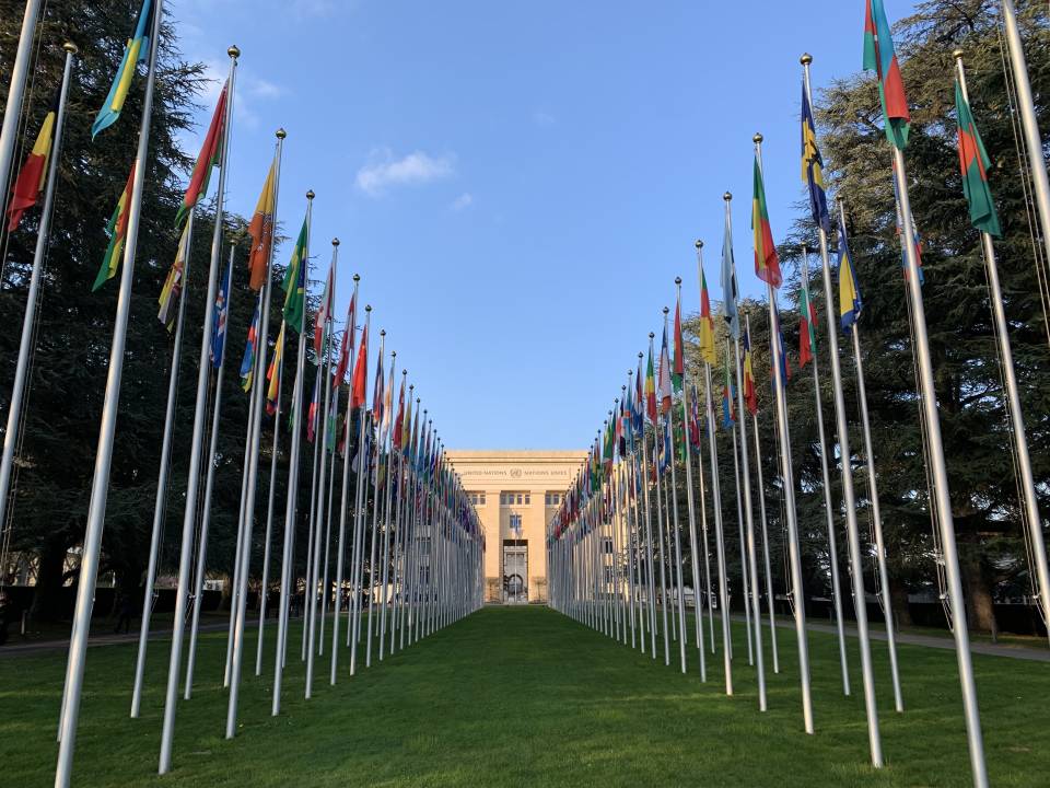 Flags outside the UN building in Geneva